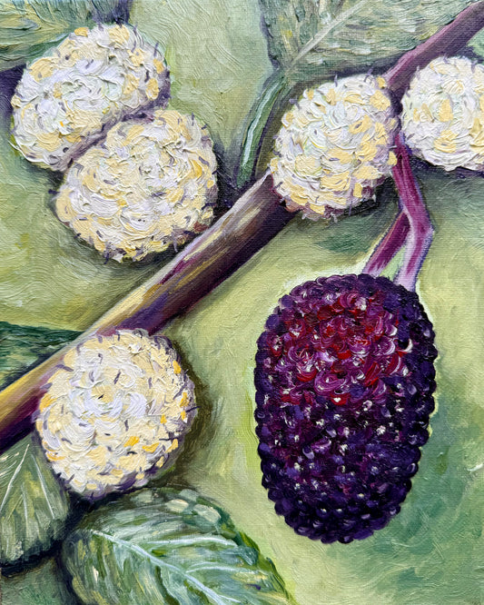 Artistic depiction of mulberries with a focus on texture and color.
